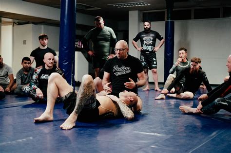 pedigo submission fighting|daisy fresh bjj gym.